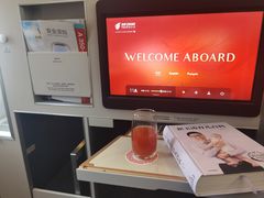 -上海浦东国际机场-T2航站楼