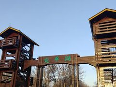 -绿堤公园