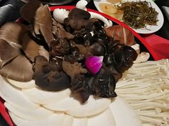 -食鲜捞火锅(湖西路店)