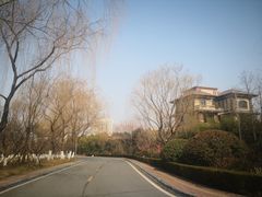 -西安国际创新人才交流中心•药浴温泉
