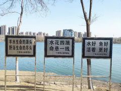 -丁香湖公园