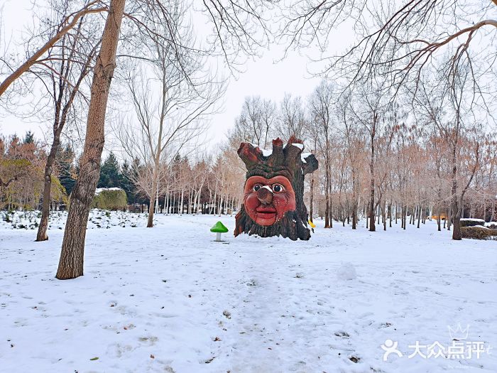 长春公园(普阳街道)图片