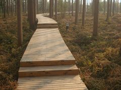 沁心栈道-上海怡沁园度假酒店