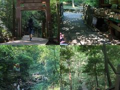 -凤栖山