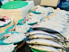 -西归浦每天偶来市场