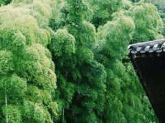 -柯岩风景区