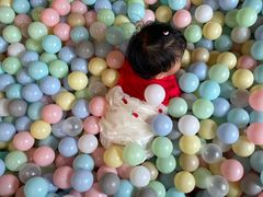 -杨浦科技幼稚园