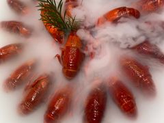 -杨氏青龙虾·羊蝎子(珠江路店)