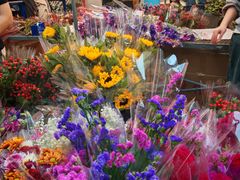 -越秀西湖花市(广州城市广场花卉店)
