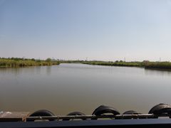 -宁波杭州湾国家湿地公园