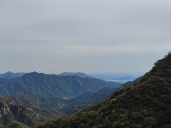 -大岭沟猕猴桃谷风景区