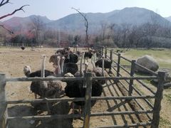 -西安秦岭野生动物园