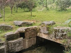 -桃花岭景区