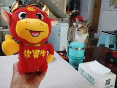 -玲玲饮食店