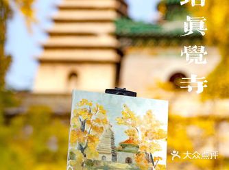 绝美的五塔真觉寺石刻博物馆（攻略篇）