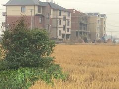 -一鸣真鲜奶吧(余杭东莲店)