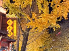 -奇芳阁·百年清真南京菜(夫子庙店)