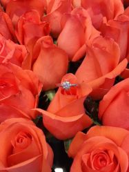 -I Do(齐齐哈尔新玛特购物广场店)