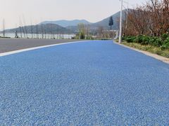 -香雪海