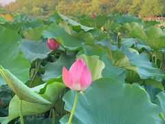 -云龙湖旅游景区