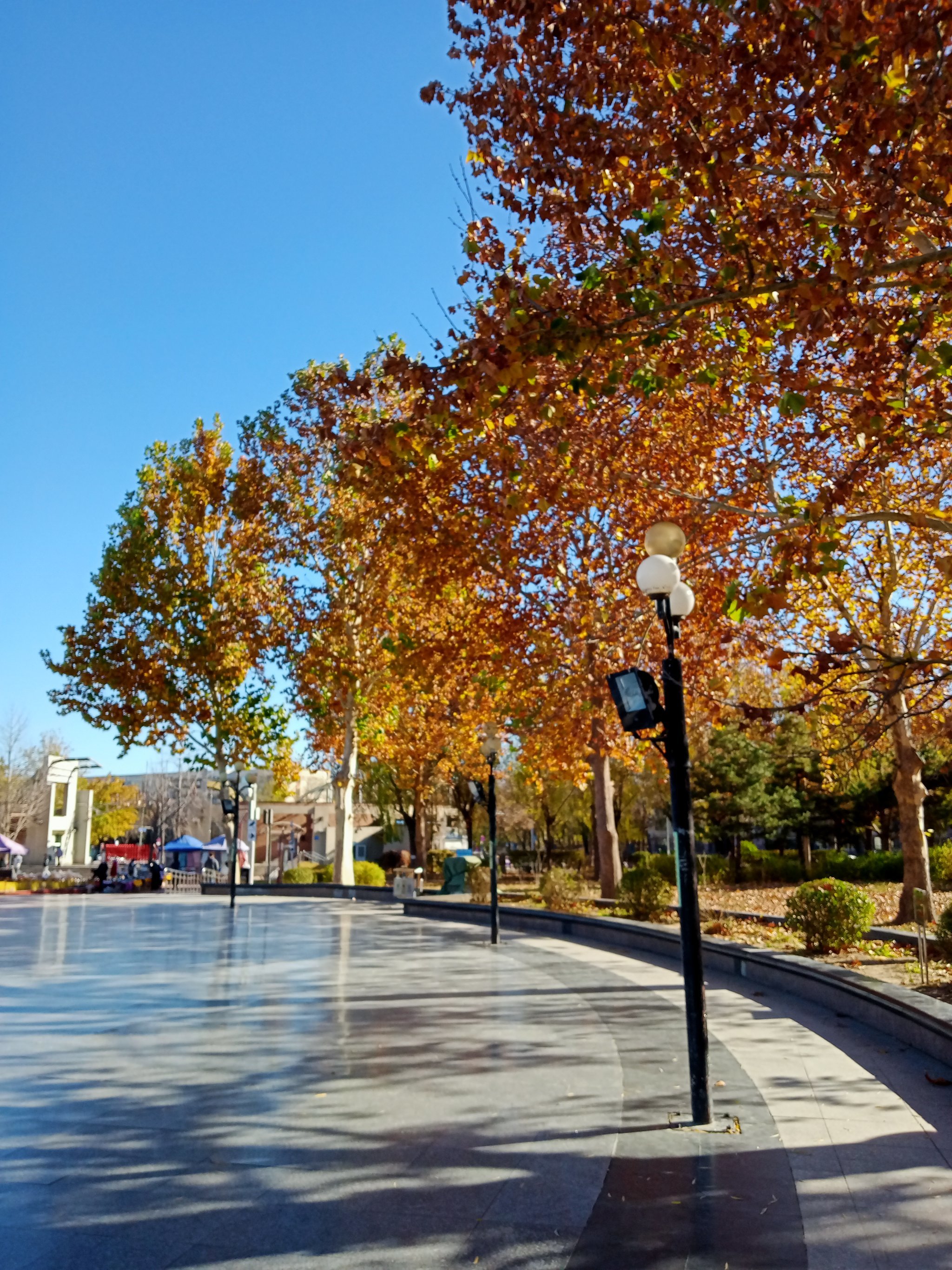 没想到回龙观还有个风景如画的小公园