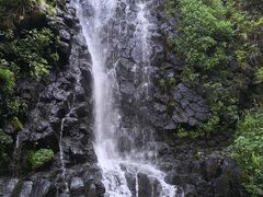 -望天鹅景区