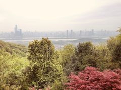 -岳麓山风景名胜区