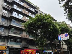 -泡桐树街