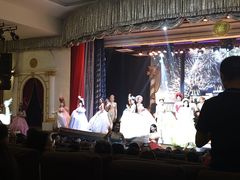 -金东尼人妖秀