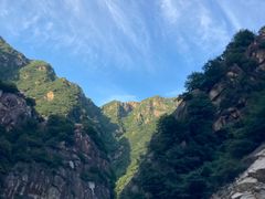 -王顺山国家森林公园