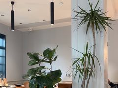 -一尺花园(安和花园店)