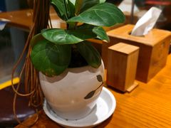 -丹江渔村(望京店)