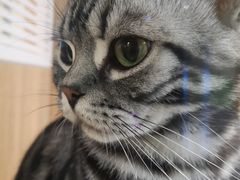 -藦茜花园宠物主题亲子互动体验馆(国顺东路店)