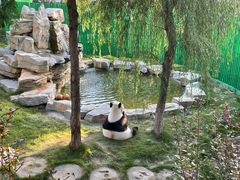 -西霞口神雕山野生动物世界