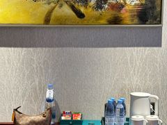-常州环球恐龙城维景国际大酒店