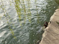 -北海公园