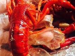 -猫姑娘大盘鸡(商城路店)