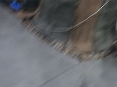 -金三可市井水煮鱼(金碧园店)