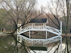 -上海共青森林公园