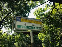 -同里国家湿地公园