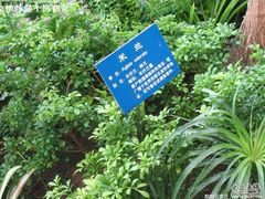 -石家庄市植物园