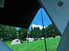 -武陵山森林公园