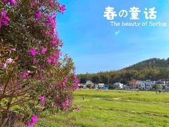 -红山村