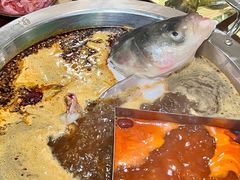 -铭记蛙小仙·活蛙畅享(CBD万达广场店)