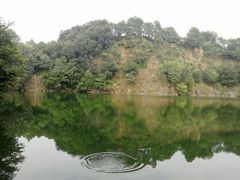-王借岗森林公园