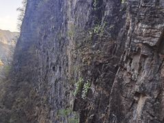 -十渡东湖港风景区