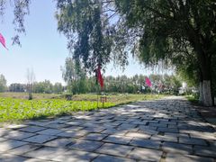 -白渔泡湿地公园