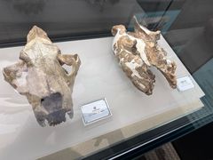 -辽宁古生物博物馆