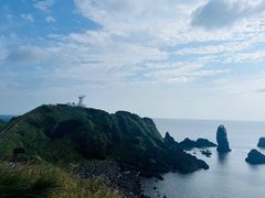 -涉地可支