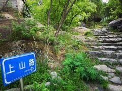 -阳台山自然风景区